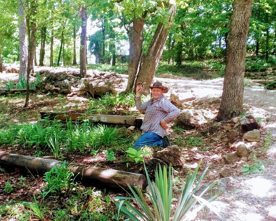 Cherokee Mountain Log Cabins Eureka Springs Extérieur photo