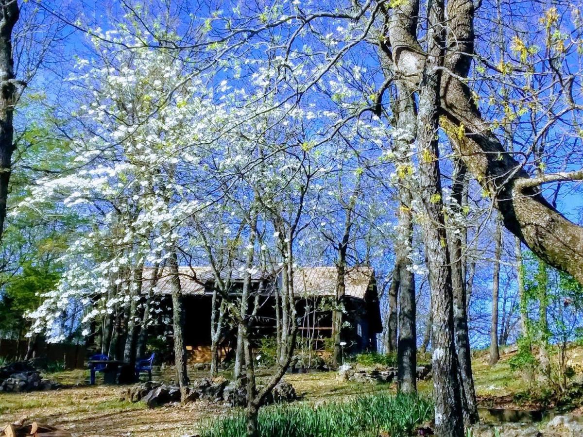 Cherokee Mountain Log Cabins Eureka Springs Extérieur photo